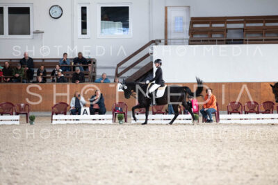 0317-250607-174747-DressurreiterWB