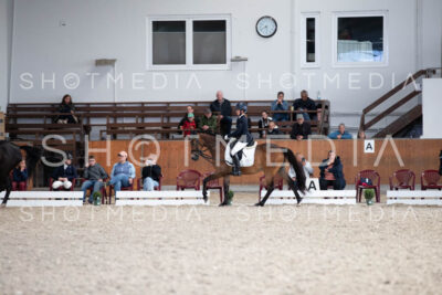 0318-250607-174750-DressurreiterWB