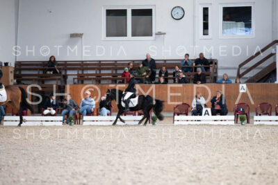 0319-250607-174751-DressurreiterWB