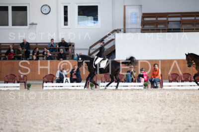 0321-250607-174802-DressurreiterWB