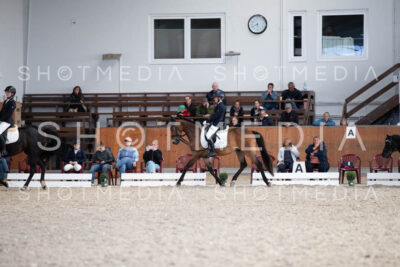 0322-250607-174804-DressurreiterWB