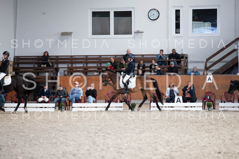 0322-250607-174804-DressurreiterWB