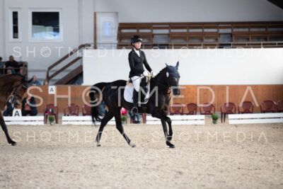 0323-250607-174935-DressurreiterWB