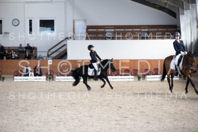 0328-250607-174955-DressurreiterWB