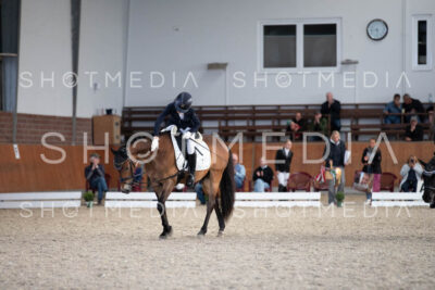 0336-250607-175056-DressurreiterWB