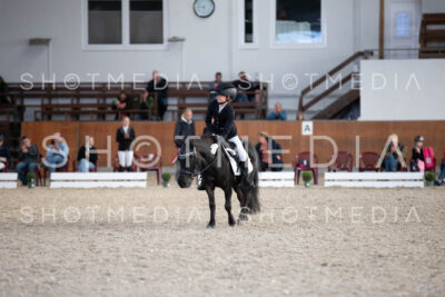 0339-250607-175058-DressurreiterWB