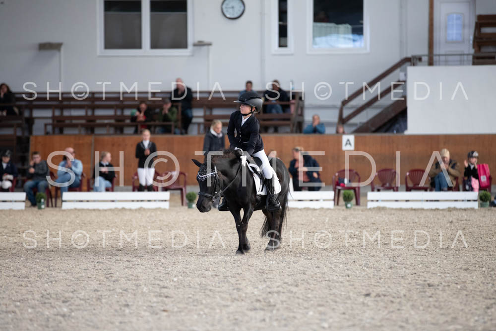 0340-250607-175058-DressurreiterWB