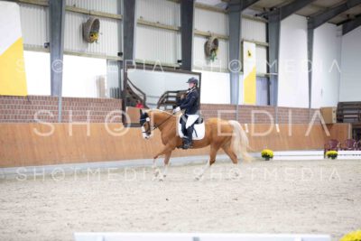 0348-103839-KlasseA5-Herbst25