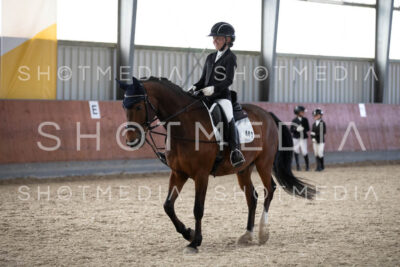 0351-250607-180417-DressurreiterWB