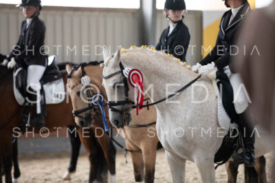 0358-250607-180602-DressurreiterWB