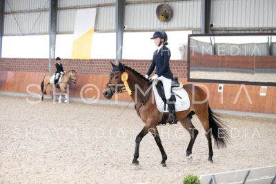 0367-250607-180748-DressurreiterWB