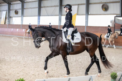 0370-250607-180750-DressurreiterWB