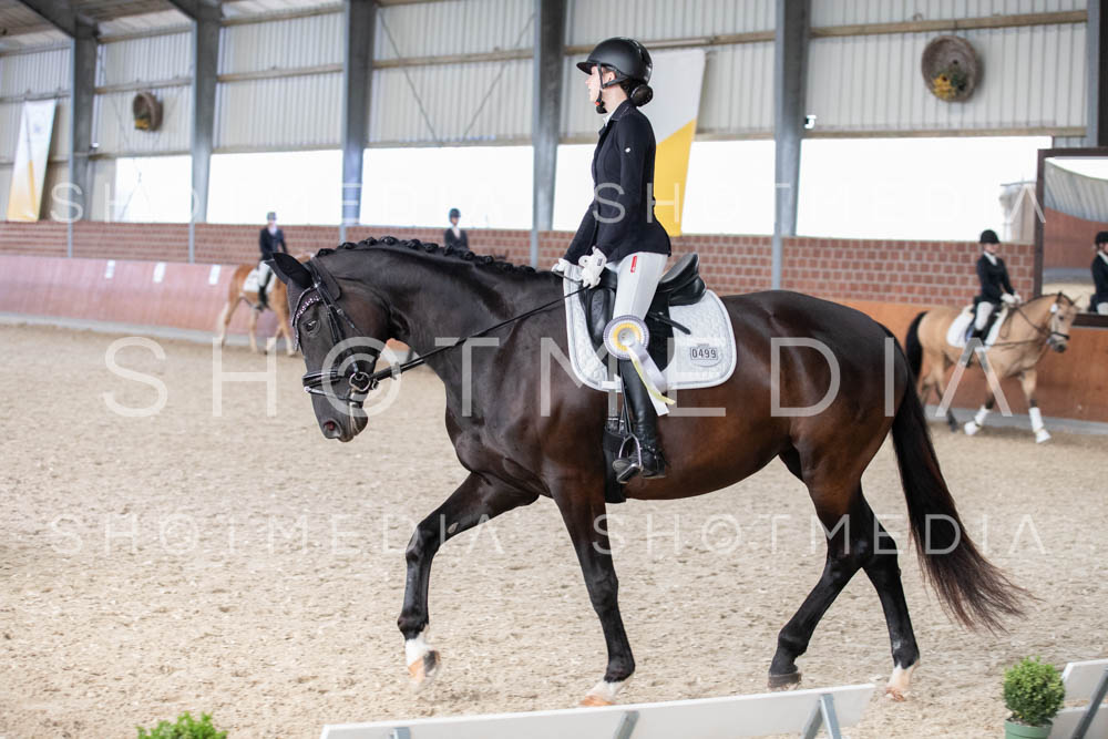 0370-250607-180750-DressurreiterWB