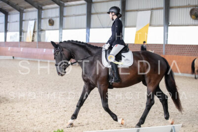 0371-250607-180750-DressurreiterWB