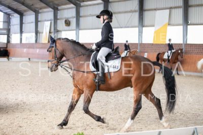 0373-250607-180752-DressurreiterWB