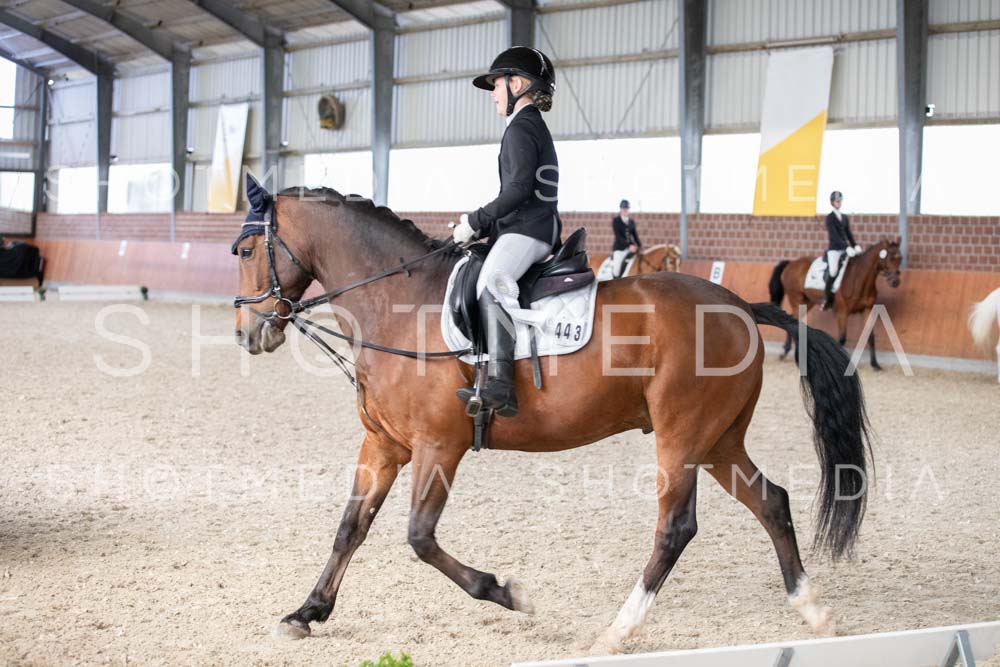 0373-250607-180752-DressurreiterWB