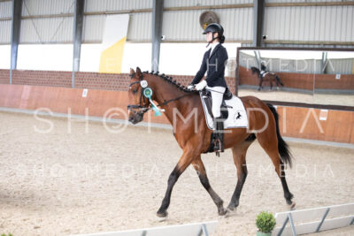 0377-250607-180759-DressurreiterWB