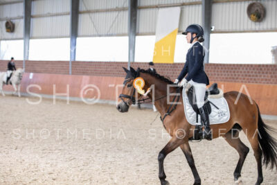 0378-250607-180818-DressurreiterWB