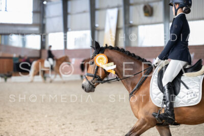 0379-250607-180819-DressurreiterWB
