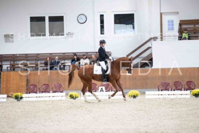 0415-105200-KlasseA5-Herbst25