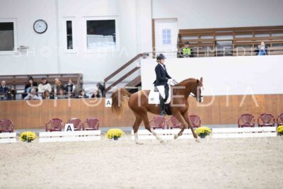 0416-105200-KlasseA5-Herbst25