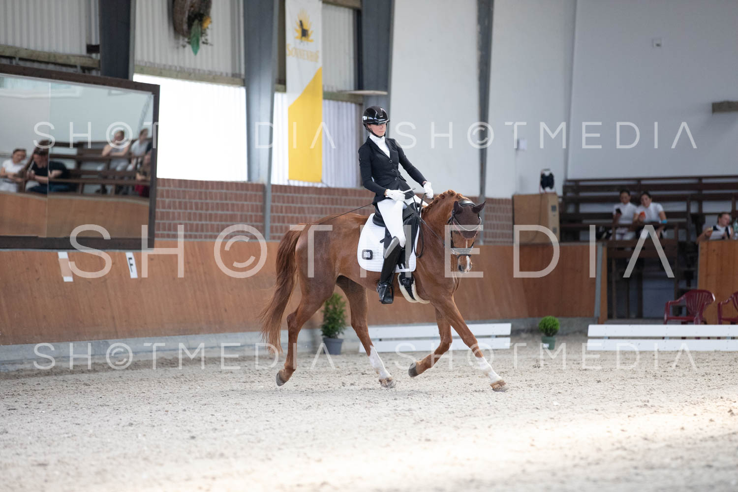 0506-RSV26-KLLtrense